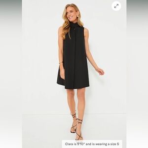 Black Tuckernuck Charlie sleeveless dress